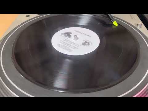 Vinyl Marching Dub Part 1 / IRATION STEPPAS