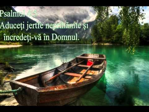 Am gasit o floare rupta