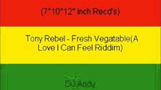 Tony Rebel - Fresh Vegatable(A Love I Can Feel Riddim)
