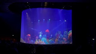 Day 4 #royalcaribbean #allureoftheseas #cruisevlog our last show was #blueplanet which was amazing!