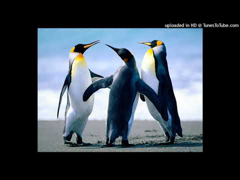 Damian Perez ft Agus Battioni - Que locura │ Video Clip Oficial 2020_160K)