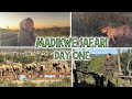 MADIKWE SAFARI LODGE DAY ONE FIRST FULL SAFARI DAY BREAKFAST IN THE WILD MORE
