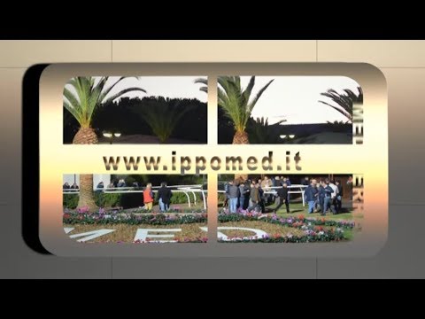 Galoppo Corse del 21 Settembre 2019