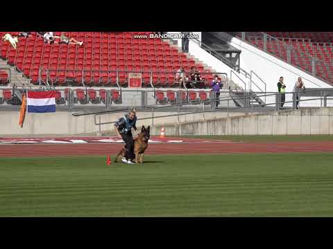 1051 Quantum v  Schonen Rosen - TSB BSZS-2023