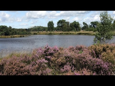 De toeristische troeven van Kalmthout in vogelvlucht