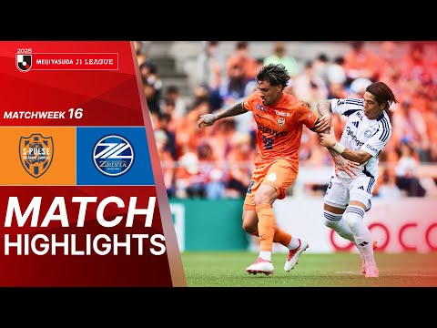 bg-highlight