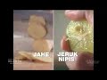 Iklan OB Herbal Pilih Yang Herbal Jangan Yang Asal 2020
