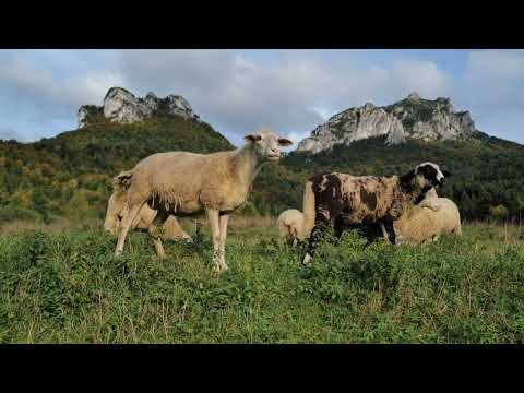 Národný park Malá Fatra