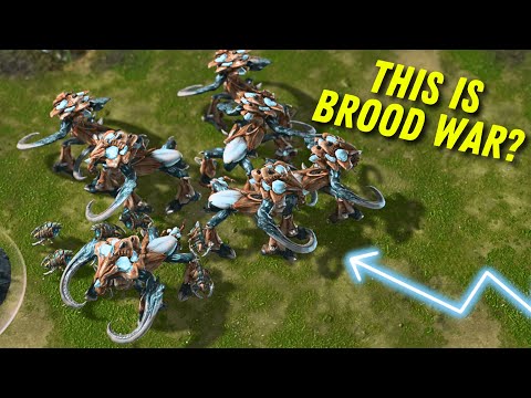 Brood War in the StarCraft 2 Engine is INSANE! (Modded Cast)
