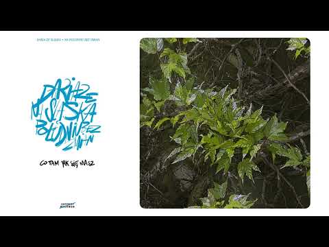 Daria ze Śląska - Co tam jak się masz