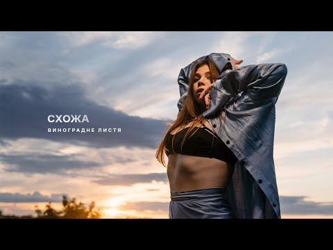 Музичне відео