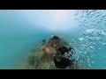 Just A Simple Relaxing Saturday Dive At Pulau Hantu Singapore