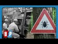 EXPOSED U S Bioweapons Program Behind Lyme Disease