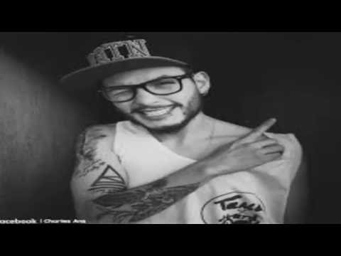 CHARLES ANS - LA HOJA - VERANO 2016