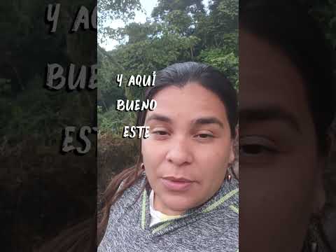 todo esto que ves aquí, es café ☕, del Estado Lara 18.000 productores de Café activos, sabías eso?