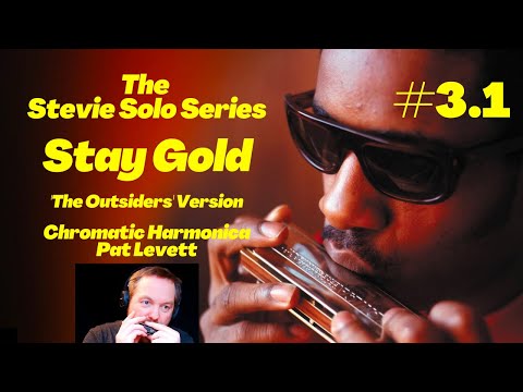 How to play Stay Gold (The Outsiders) on Chromatic Harmonica - Full Stevie Wonder Solo - Pat Levett