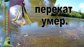 Отчет о рыбалке в калужской области