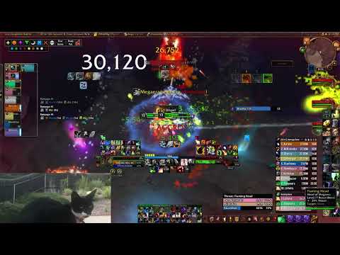 Dreamstate Throne of Thunder Megaera 10M Heroic