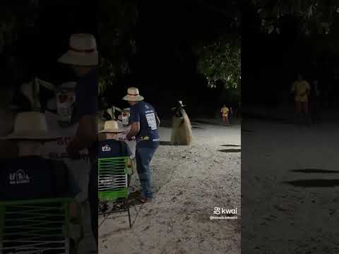 reisado de boa hora Piauí