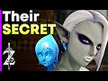Skyward Sword The Twins Secret Zelda Theory