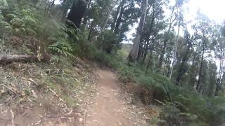 preview picture of video 'Mount Buller Epic trail descent, Victoria Australia.'