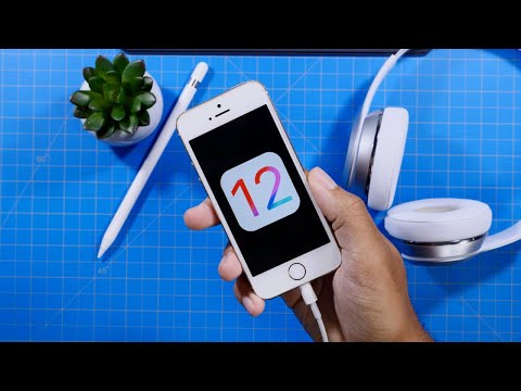 iPhone 5s Running iOS 12! Good or Bad Experience?