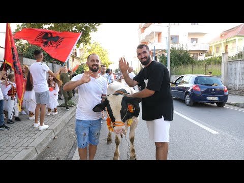 Dasma Dibrane 2023 🇦🇱 Pritja e Dajave sipas traditës #dasmashqipetare #pro_studiotili #dasma2023