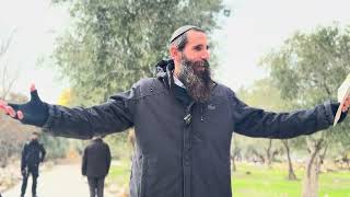 היסטוריה בהר הבית - לראשונה מותר להכניס דפי תפילה!!! (ישיבת הר הבית) - התמונה מוצגת ישירות מתוך אתר האינטרנט יוטיוב. זכויות היוצרים בתמונה שייכות ליוצרה. קישור קרדיט למקור התוכן נמצא בתוך דף הסרטון