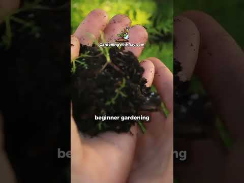 The Perfect Garden Size for Beginners #gardeningtips #garden #gardening #gardeningplants #farming