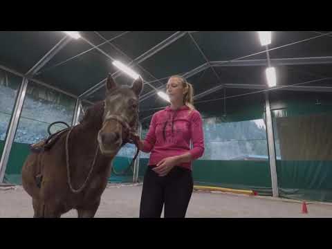Yoga on a horse - eagle and child pose