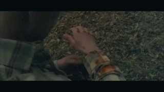 Willitons Way Trailer