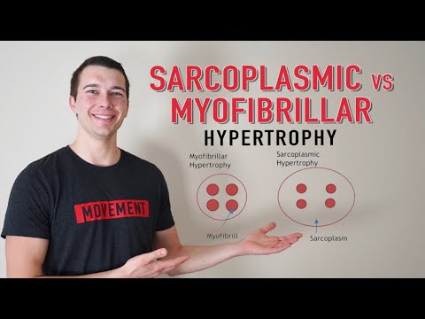 Sarcoplasmic vs. Myofibrillar Hypertrophy