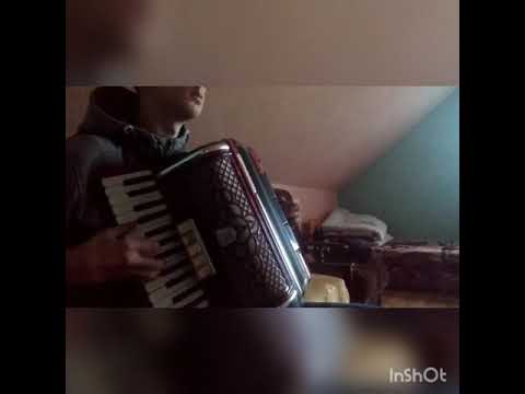 Pod zielonym dębem raz akordeon