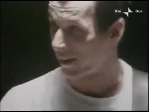 The Talking Heads, Live 1980, STAY HUNGRY