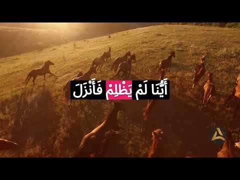 Dhulm (wrong) of one kind can be greater or lesser than that of another