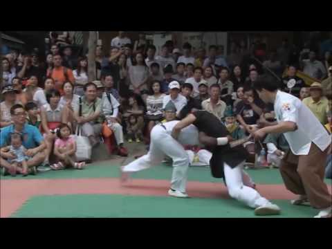 Capoeira vs Taekkyeon