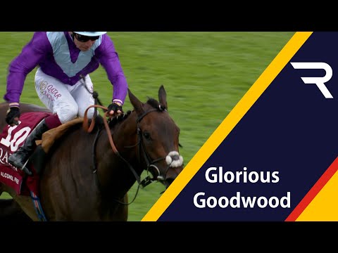 INCREDIBLE Footage! Ride the Sussex Stakes with winners Alcohol Free and Oisin Murphy - Racing TV