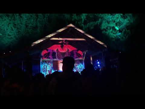 Shambhala Grove Reunion - Shiny Things