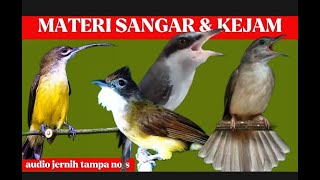 Download lagu masteran idaman juri | katem, cucak jenggot, jinjing petulak dan pijantung mp3