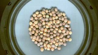 WEEKEND REMIX | Flux Pavilion - Who Wants To Rock ft. RIFF RAFF (Greater Than & CRaymak Remix)