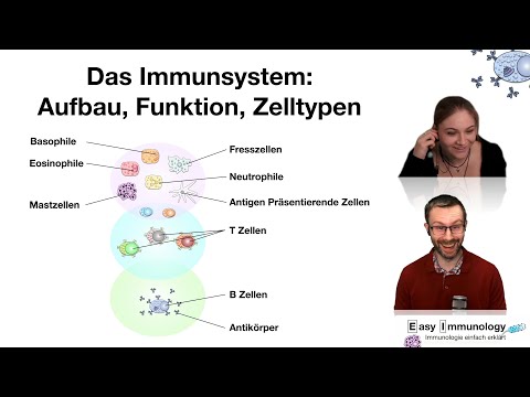 Easy Immunology Spezial: Das Immunsystem: Aufbau, Funktion, Zelltypen