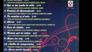 NOCHES DE GARIBALDI - VARIOS ARTISTAS