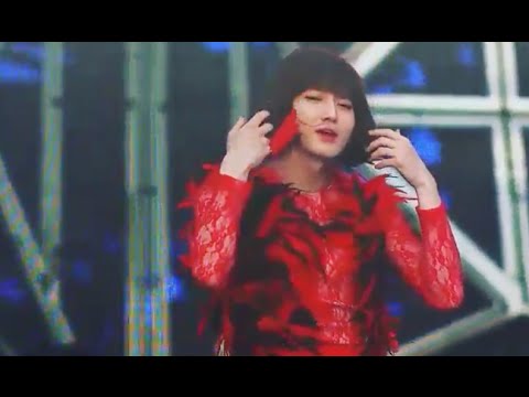 [Fancam] 140815 Beautiful EXO Suho at SMTOWN Live World Tour IV in Seoul