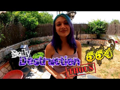 Daily Destruction Thous 554 - El Huerto Eco de Ángela, Victor de Acogida y Botones para Perros!