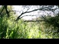 M83 - Midnight City (Eric Prydz Private Remix) - HD ...