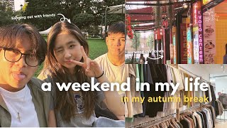a weekend in autumn 🍁 // friends, street food, grocery shopping + more!