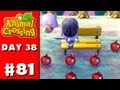 Animal Crossing: New Leaf - Part 81 - Yellow Bench (Nintendo 3DS Gameplay Walkthrough Day 38)