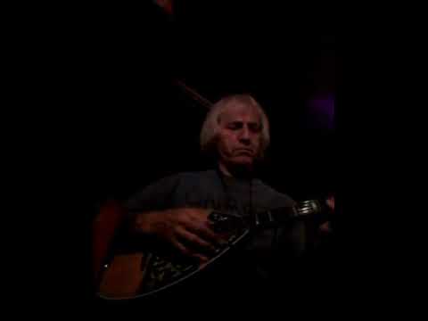 miroslav nikolic beli nislija