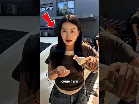 Waspada! Muncul 5 Tanda Bulat di Mobil, Ternyata Isinya... 😱🚗