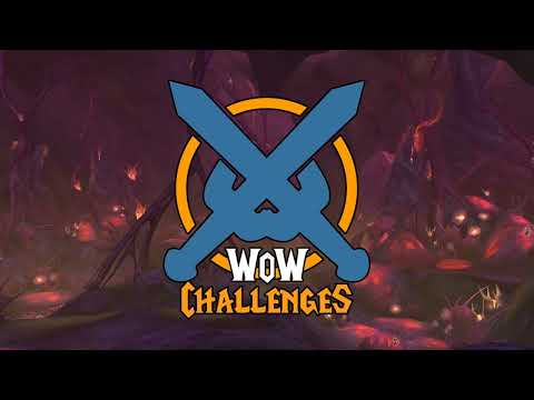 The WoW Challenges Podcast Ep.384 - My Brain Is Not Braining